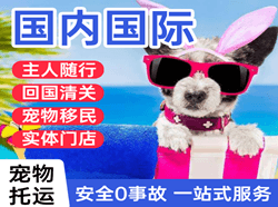 三沙永兴航空运输国际宠物托运 【国